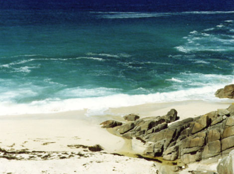 Portherus