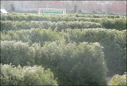 Maze picture