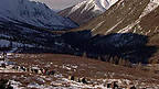 Darhad Migration Through Mountains