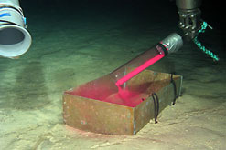 Bioturbation
