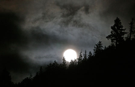 The Dark