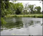 River and meadows
