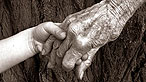 Dwylo