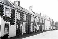 cottages.
