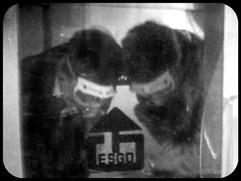 44