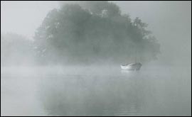 Misty scene