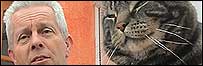 Cats - Feb