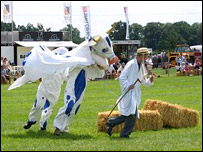 The Cambridgeshire County Show