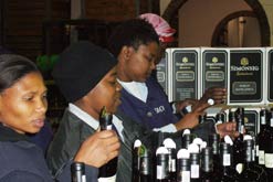 Women wine workers in South Africa
