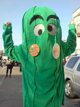 The mighty saguaro