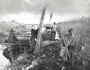 Workers
