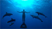 The Cove