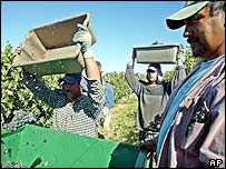 Trabalhadores hispânicos nos Estados Unidos