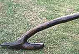 Image of an Iron Age plough found at the Oakbank site