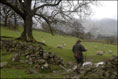 Rakefoot Farm Cumbria by Ian Berry