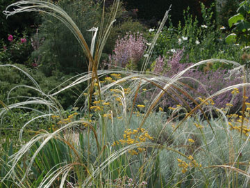 The Gravel Garden