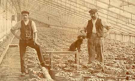 Growers