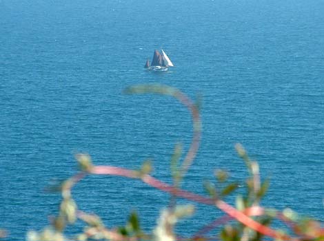 Out to sea
