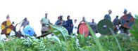 Image of celtic tribe