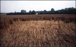 Crop circle at Branston near Lincolnshire.