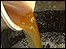 Oil