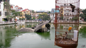 Mảnh máy bay B-52 ở Hà Nội