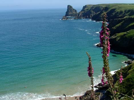 Coastpath between Boascastle and Tintagel