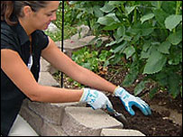 园艺