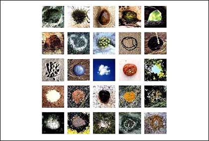25 Circles by Lesley James - Copyright to Lesley James