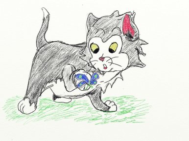 Kitten
