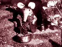 The Clangers: Click for more images