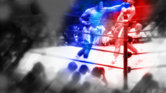 In The Ring In The Ring