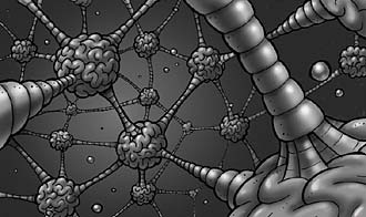 A Spongy Grey Maze of Twisty Little Synapses