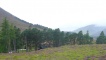 Bob Scott's Bothy, set among trees