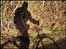 Cyclist