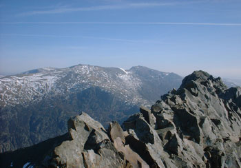 Grib Goch