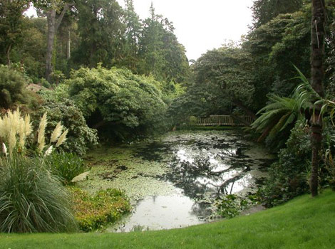 Lost Gardens Of Heligan