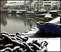 boats