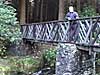 View the Rustic Bridge