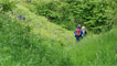 A steep but succulent green valley