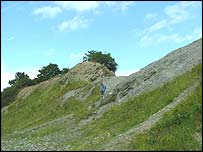 Reef Mound