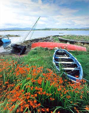 Boats drying - co. Down