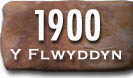 Blwyddyn