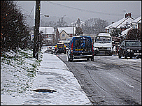 Sketon in the Snow