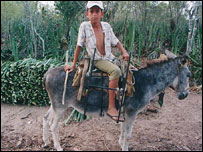 Trabalhador rural