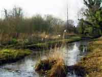 Wheatfen.