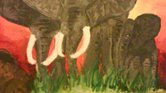 Elephants Elephants