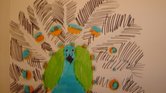 Peacock Peacock