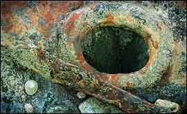 'Encrusted' by Clive Haynes