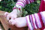 Help your children to plant it in the pot